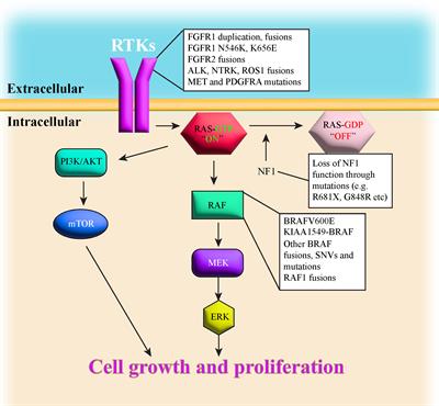 Pediatric low-grade glioma models: advances and ongoing challenges